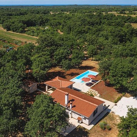 Villa Martinetinka Vodnjan Extérieur photo