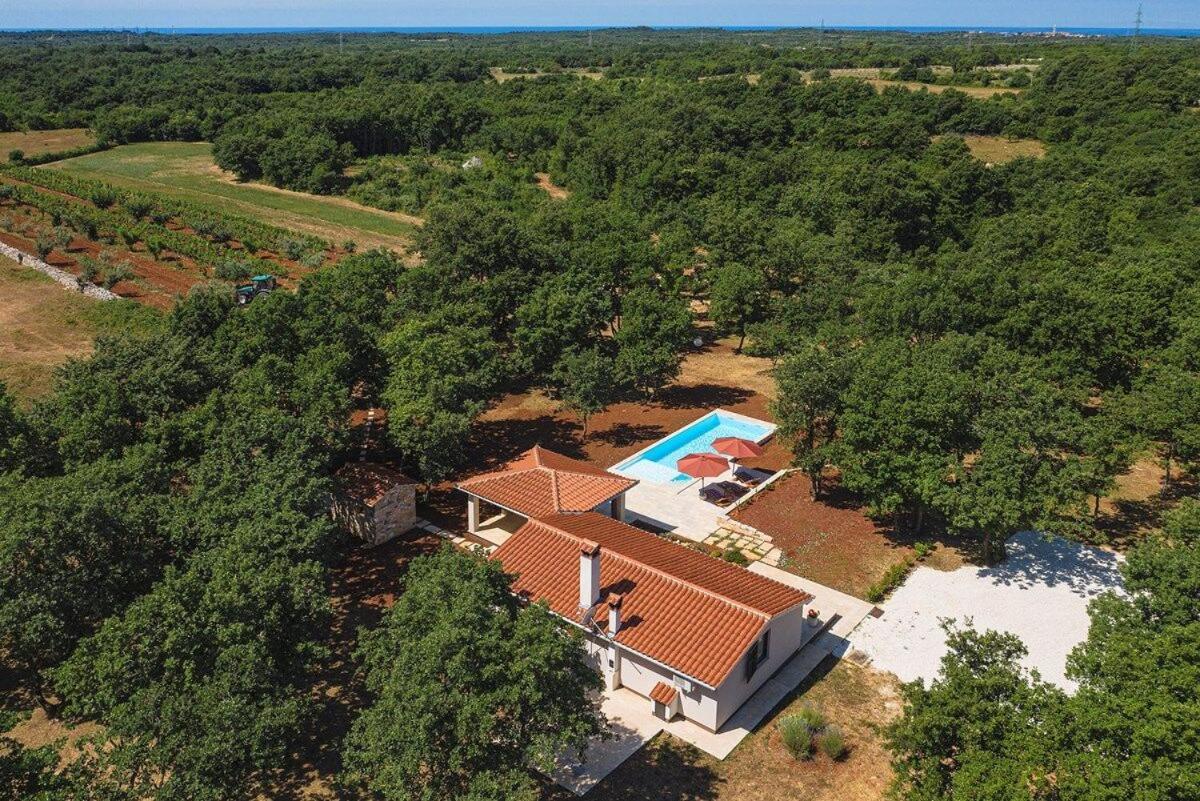 Villa Martinetinka Vodnjan Extérieur photo