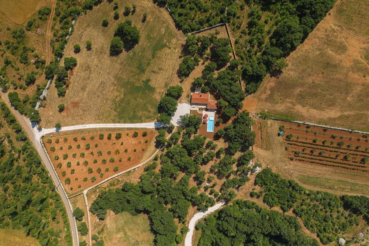 Villa Martinetinka Vodnjan Extérieur photo
