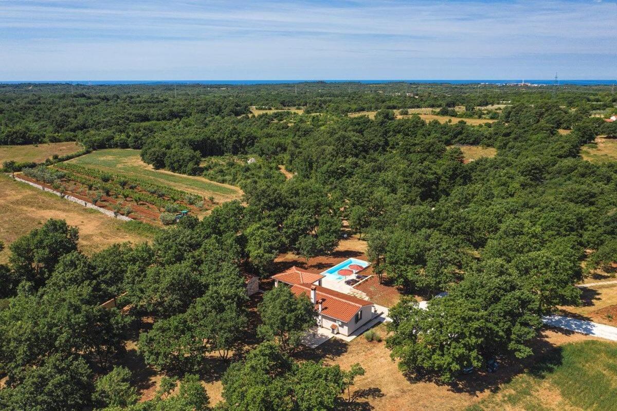 Villa Martinetinka Vodnjan Extérieur photo