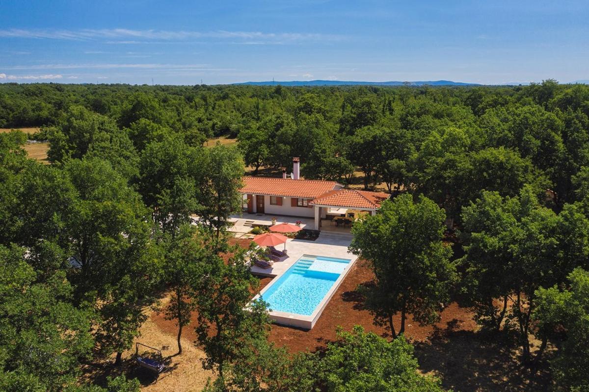 Villa Martinetinka Vodnjan Extérieur photo